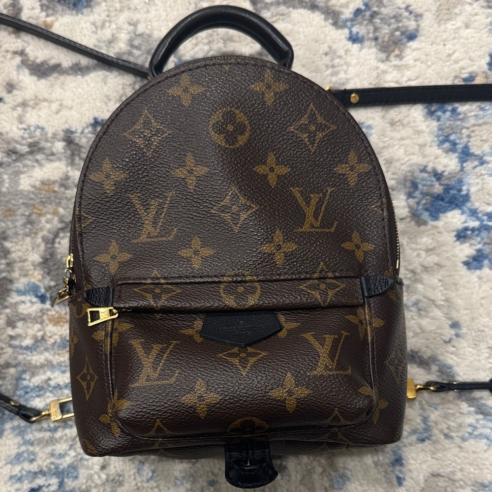 Louis Vuitton Palm Springs mini